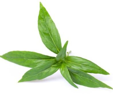 gambar berita halal review 7