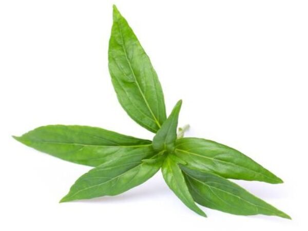 gambar berita halal review 7