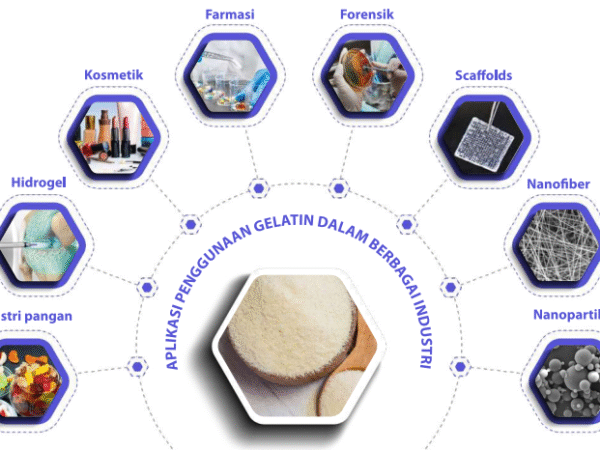 Screenshot 2026-02-13 165633