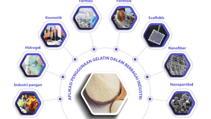 Screenshot 2026-02-13 165633