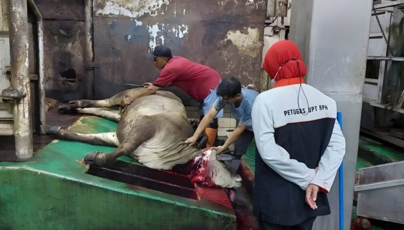 Untitled design (23)