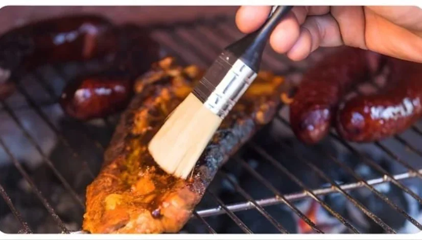 Waspada Kuas Bulu Hewan